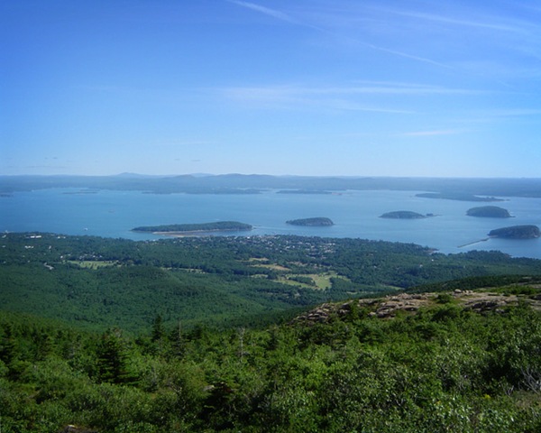 [DSC04317 copy 2[6].jpg]